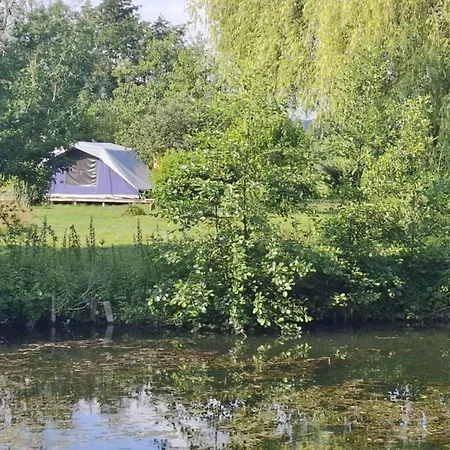 Mobile-home, Animaux Acceptes - 4 Pers. - Api-1-52-2523 *
